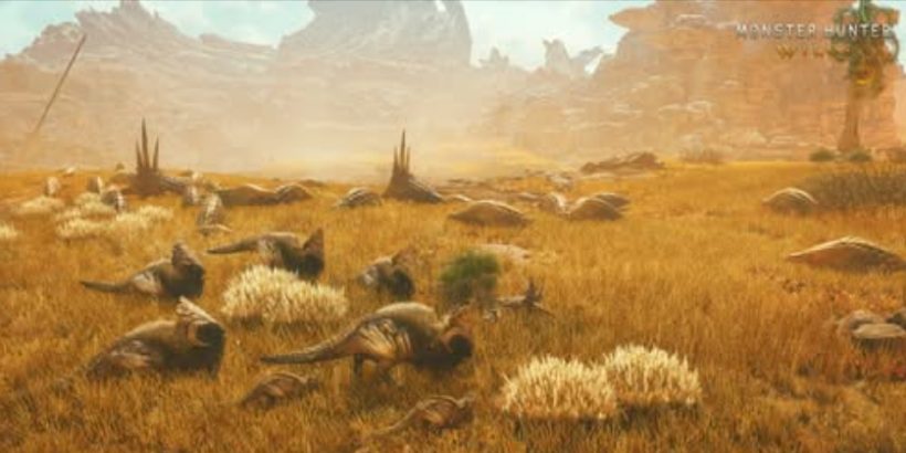 Die Welt von Monster Hunter Wilds