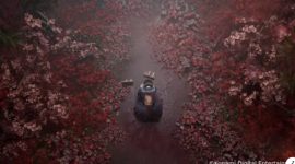 Das Gameplay von Silent Hill f